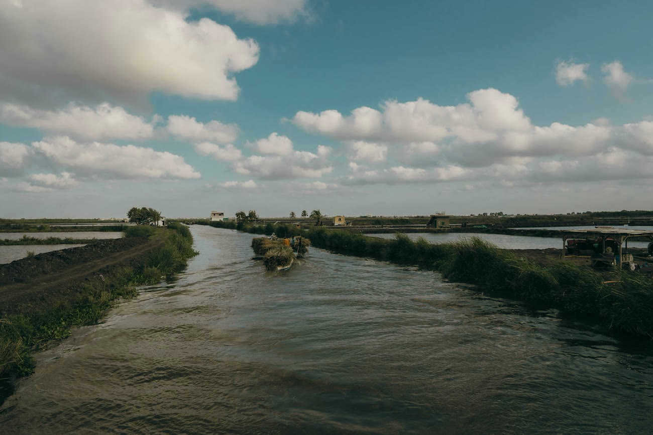 Nile-delta farm